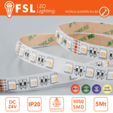 Striscia LED RGBW SMD5050 24V 5m 60LED/m 14W/m IP20