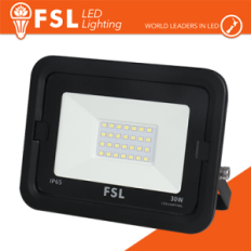 Proiettore per esterni Nero 30W - IP65 115° 4000K