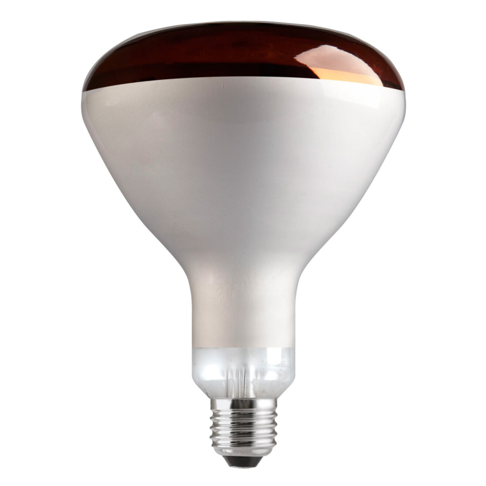 Lampada SPOT raggi Infrarossi E27 250W 230V RED per allevamenti di animali
