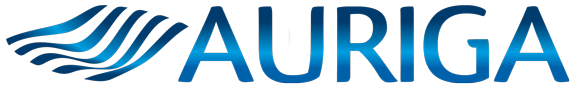 Auriga Srl